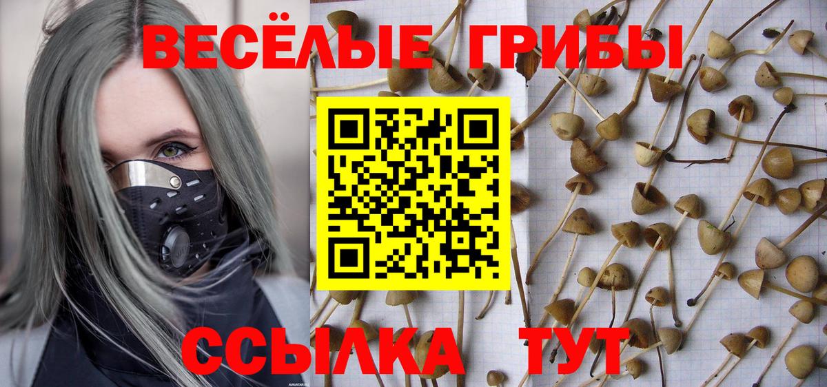 Галлюциногенные грибы мухоморы Орск